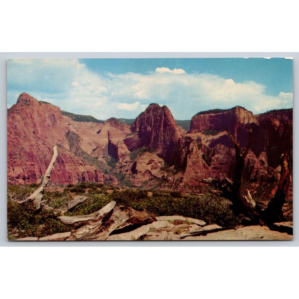Vintage Zion National Park Postcard Finger Canyon of the Kolob UT Mike Roberts